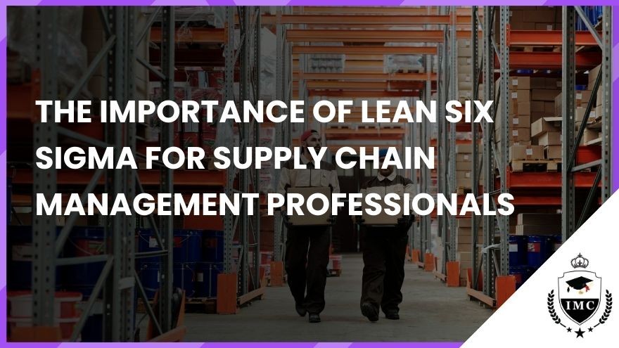 The Importance of Lean Six Sigma for Supply Chain Management Professionals