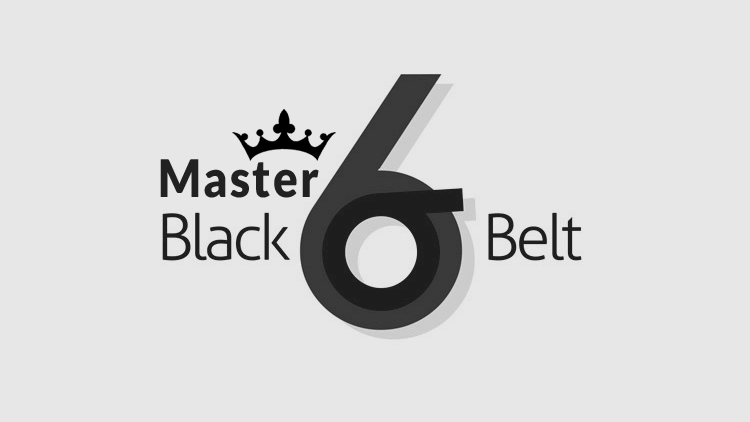 abbreviation for lean 6 sigma master black belt