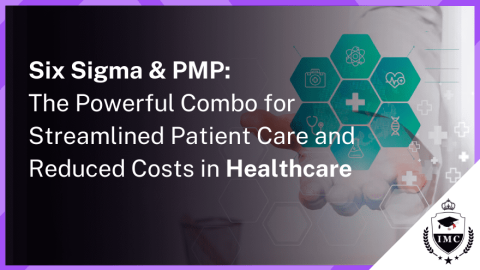 Six Sigma & PMP for Success in Healthcare: Streamline Patient Care and Reduce Costs