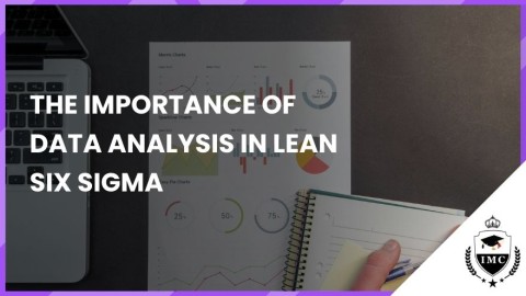 The Importance of Data Analysis in Lean Six Sigma